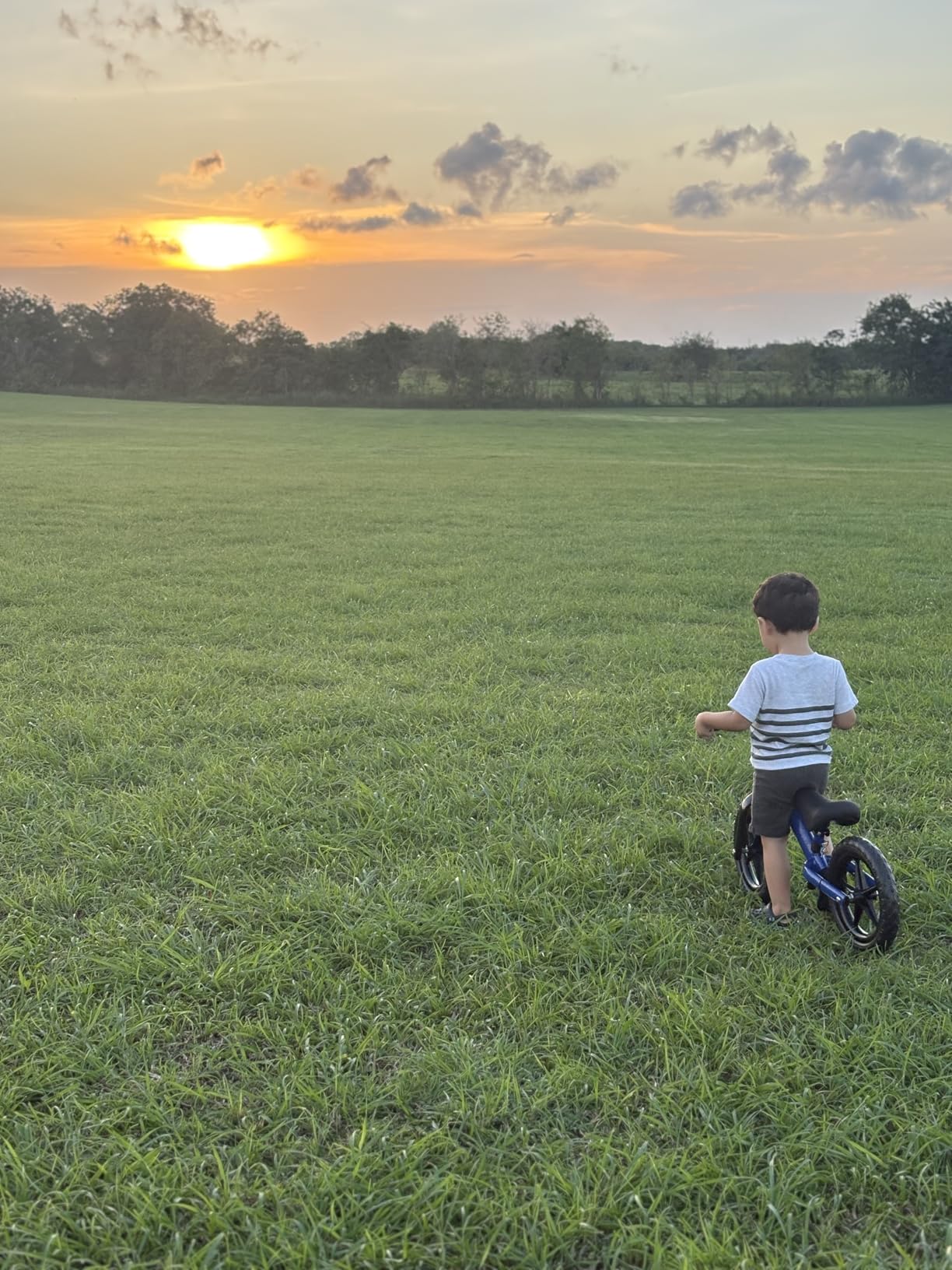 KRIDDO Toddler Balance Bike 2 Year Old: Toddler Bike Toys for 2-5 Years Old customer photo 1