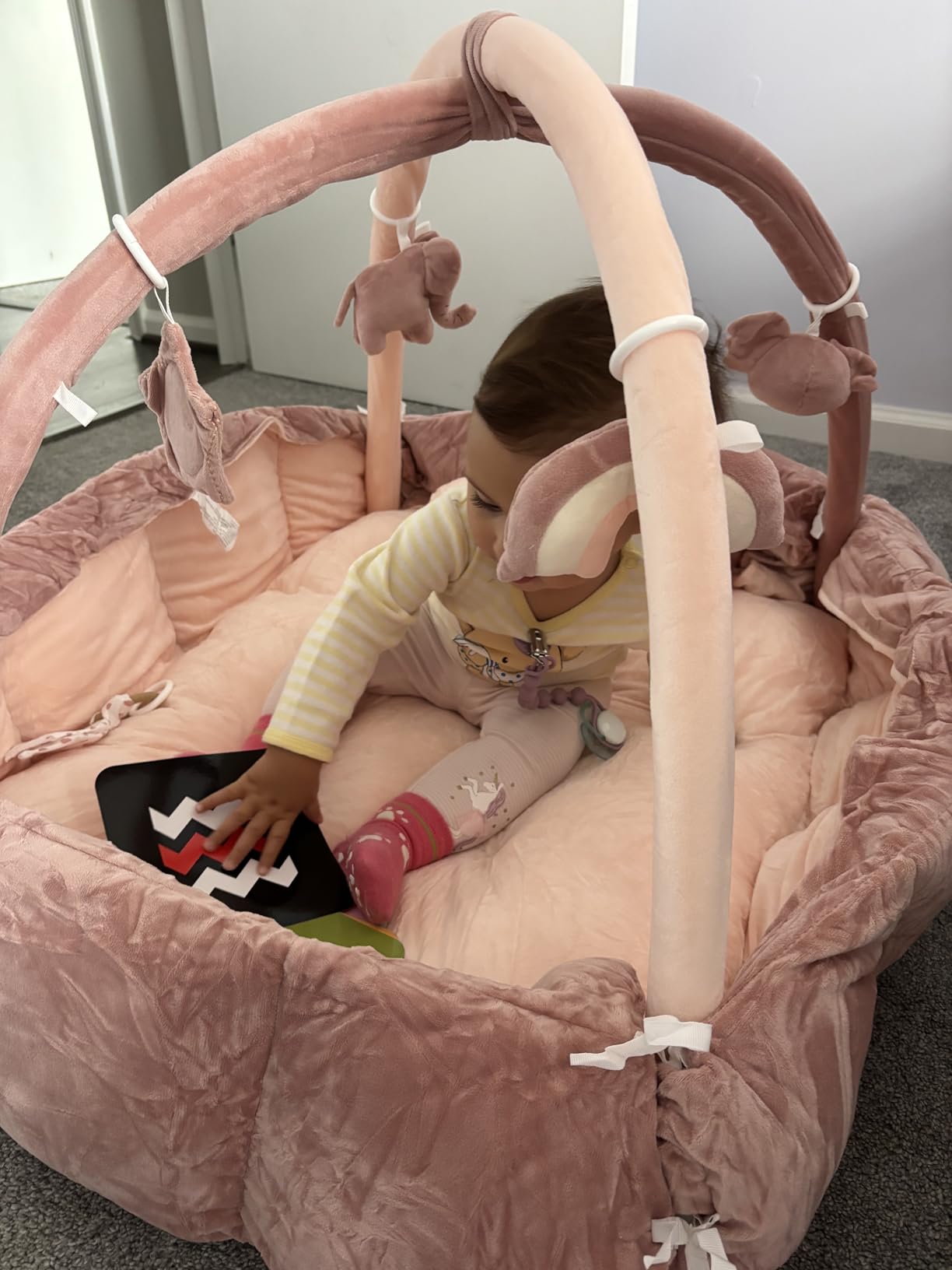5-in-1 Plush Baby Play Gym, Baby Play Mats, Convertible Baby Gym, Tummy time mat, 6 Sensory Toys, Activity Center, Ball Pit, Pink customer photo 2