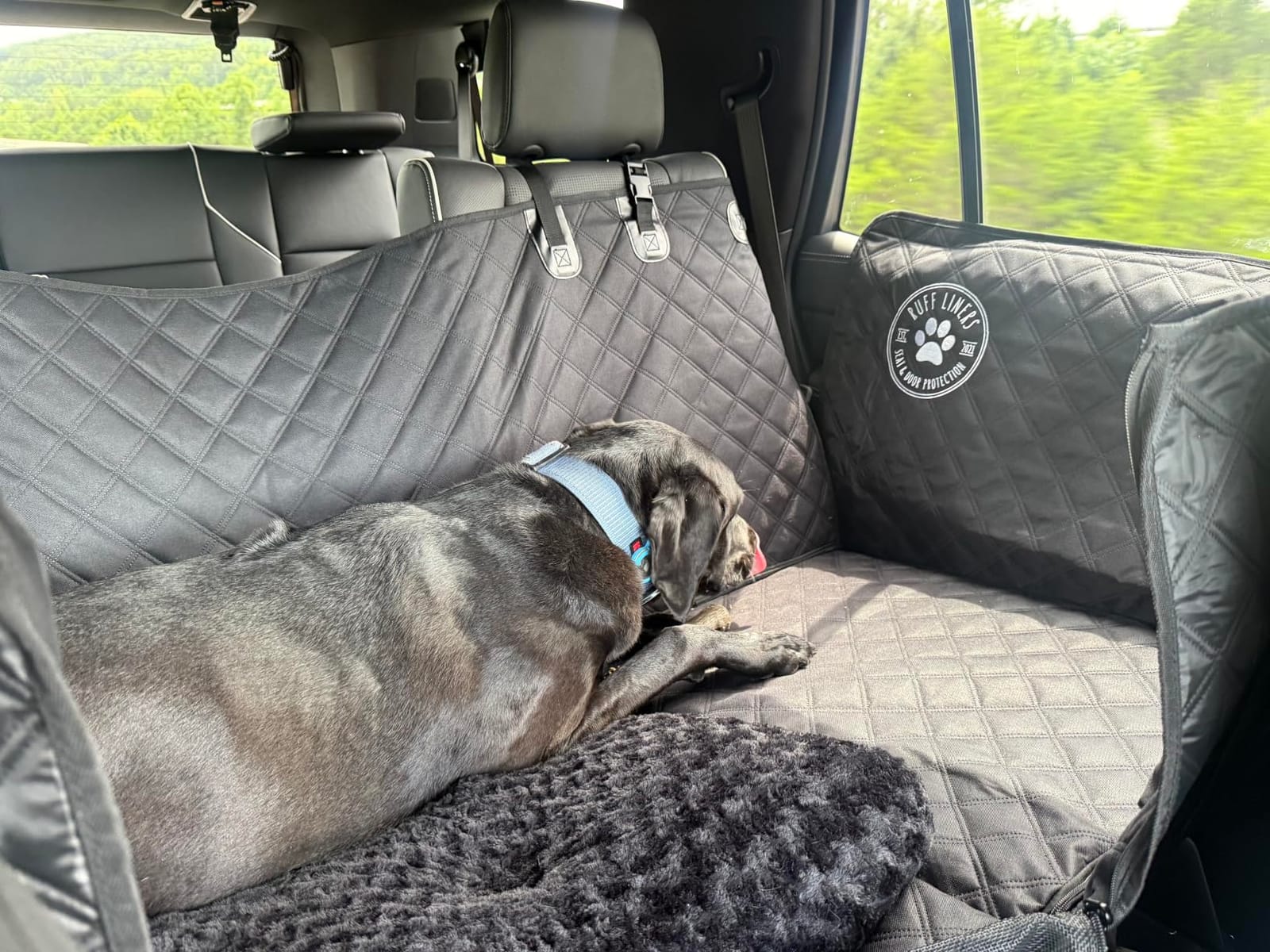 XL Back Seat Extender for Dogs - As Seen on Shark Tank | Hard bottom adds 40% more space, holds up to 400 lbs, waterproof, machine-washable, heavy-duty Back Seat Cover for Dogs customer photo 1
