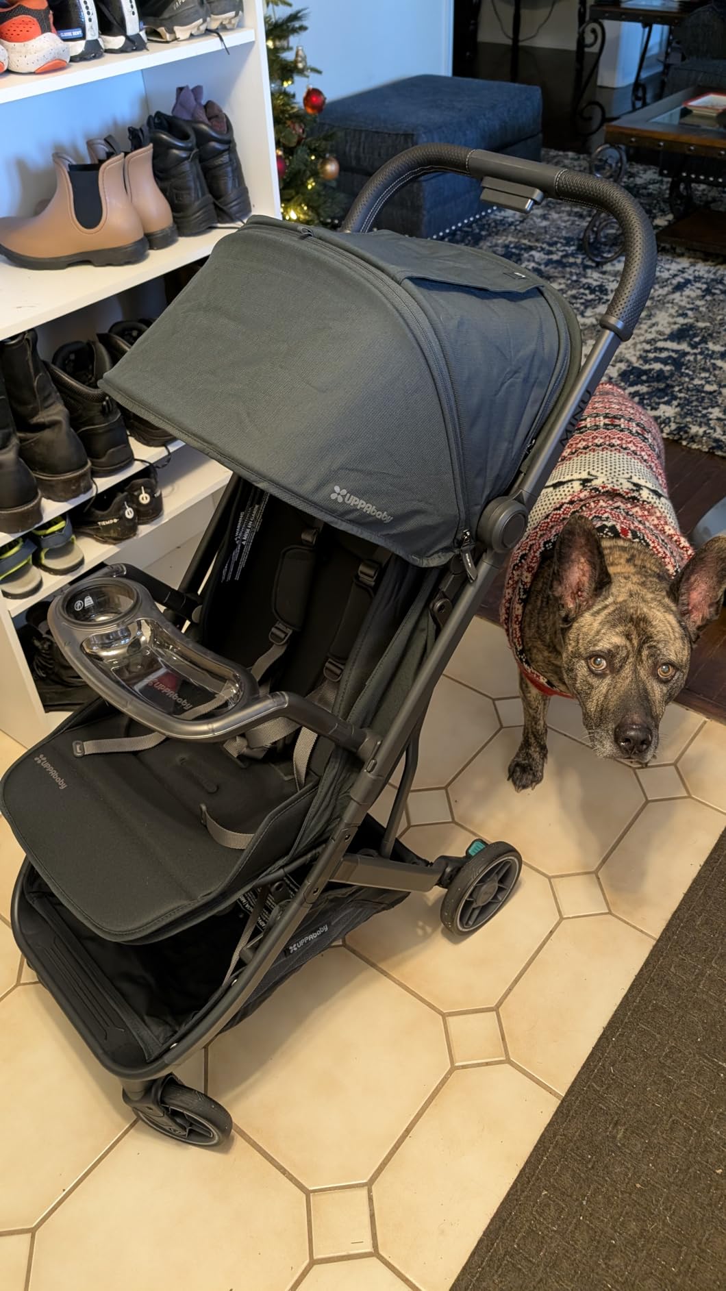 UPPAbaby Minu V3 Travel Stroller - Lightweight & Compact - Greyson customer photo 2