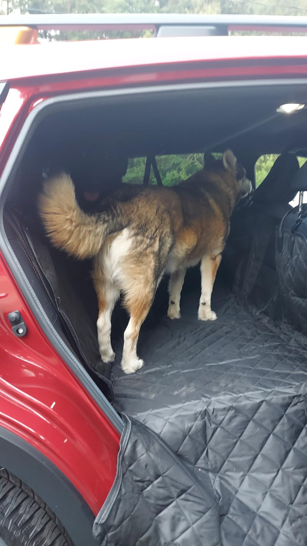 URPOWER Hard Bottom Dog Car Seat Cover, Back Seat Extender for Cars & SUVs | 400 lbs Support, 45% More Space, Waterproof, Mesh Window, Scratch Resistant, Non-Slip, Easy Care customer photo 1