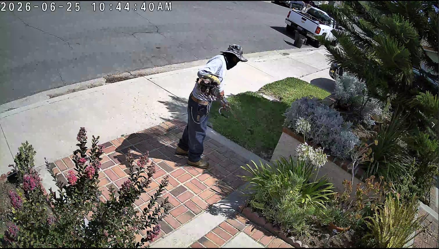 Tapo 4K Outdoor Pan/Tilt Wireless Security Camera, Solar Charging, C660 KIT customer photo 1