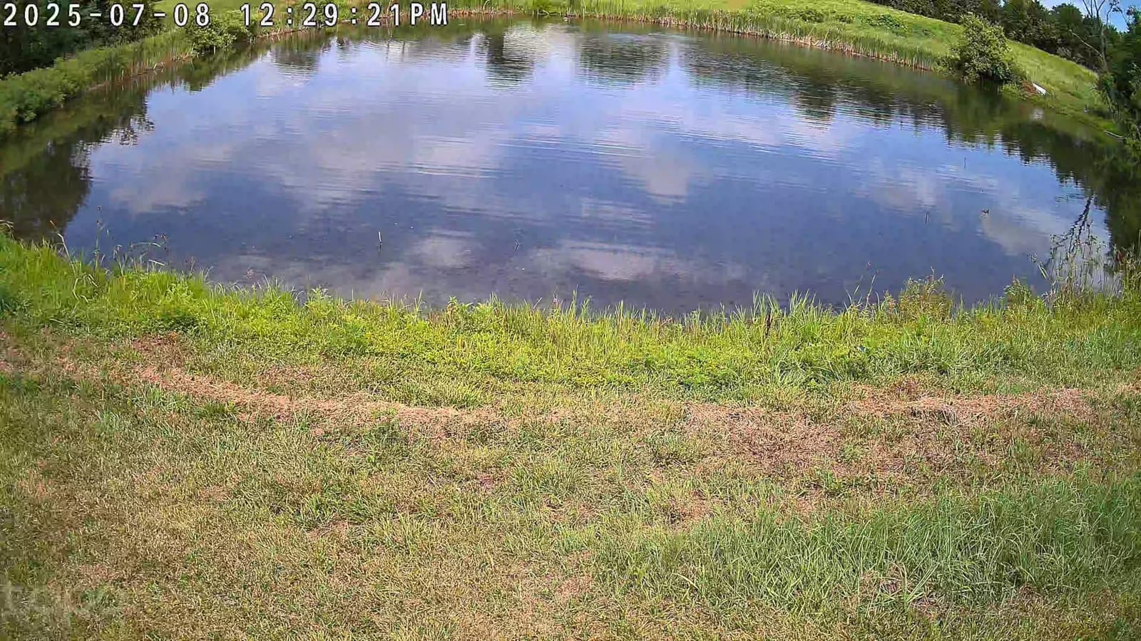 Tapo 4K Outdoor Pan/Tilt Wireless Security Camera, Solar Charging, C660 KIT customer photo 2