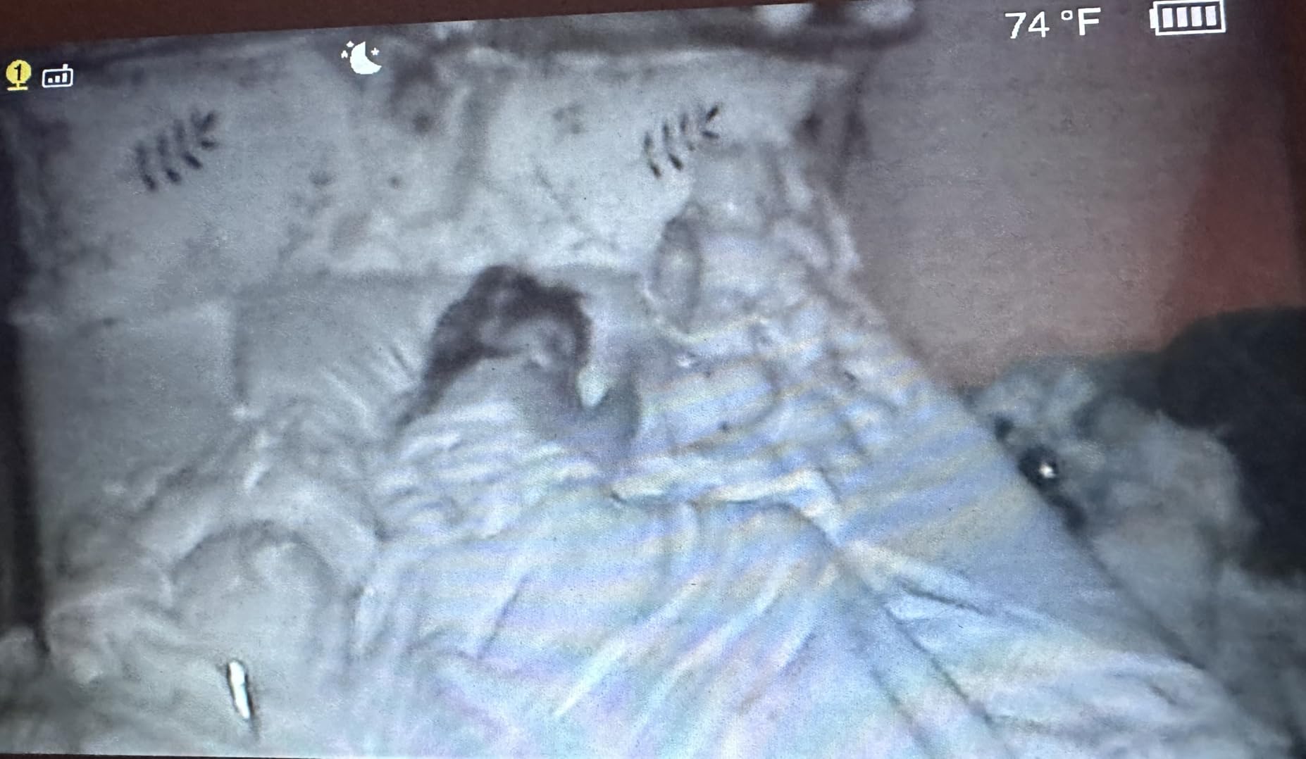 VTech Baby Monitor No WiFi with 7