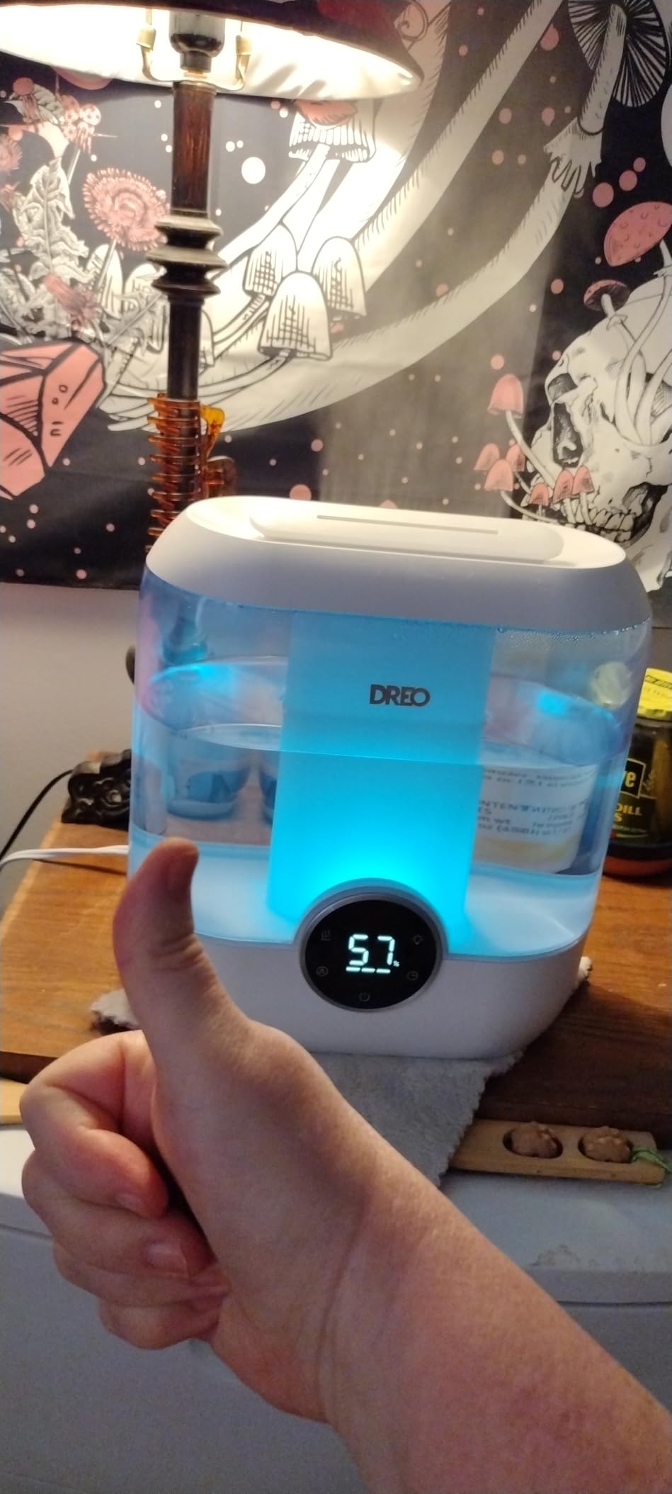 DREO 3L Humidifiers for Bedroom, 30H Runtime, 26 dB Quiet, New Edition customer photo 2