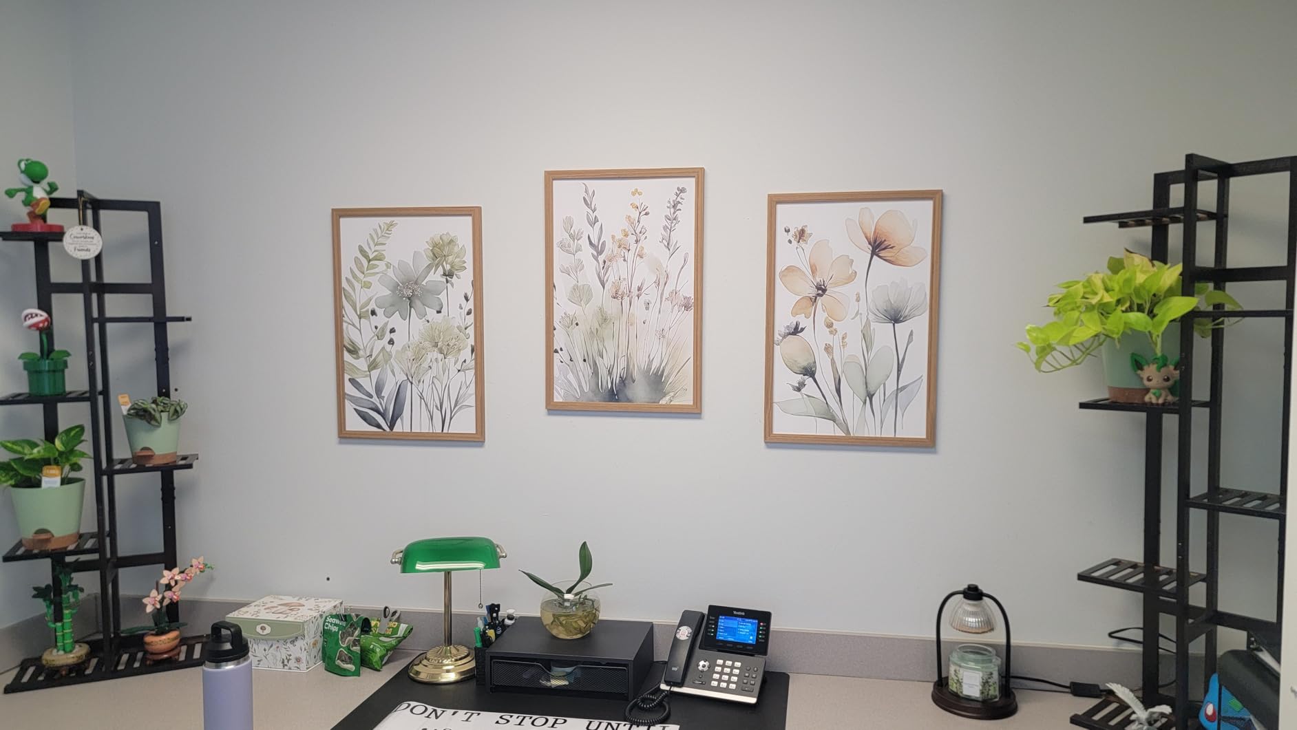 Framed Wildflower Wall Art Set of 3, Pink Floral Canvas Wall Decor Pictures, Vintage Flower Botanical Paintings, Nursery Flowers Butterfly Posters Prints for Bedroom Living Room 12x16 Inch customer photo 2