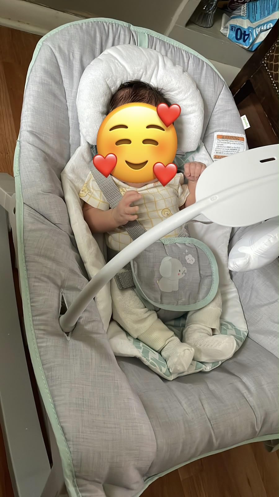 Ingenuity Keep Cozy 3-in-1 Vibrating Bouncer Rocker, Green customer photo 2