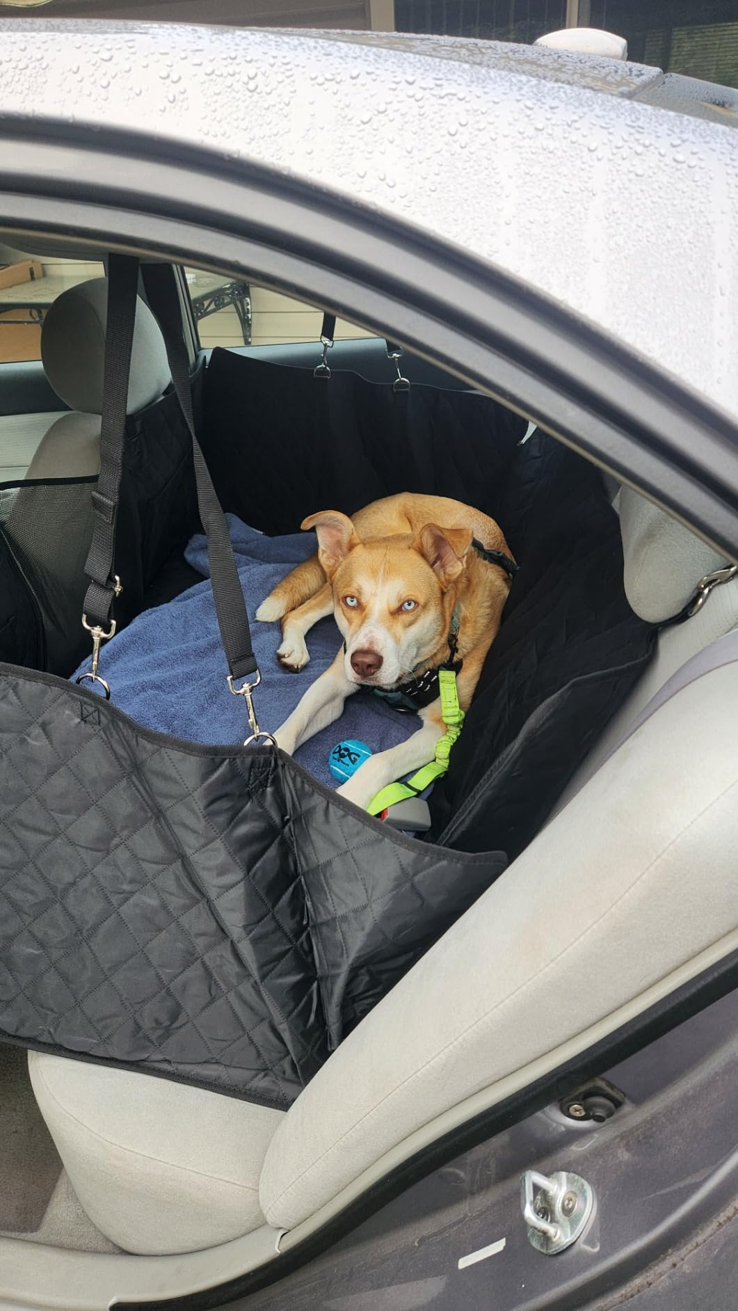 Elufa Hard Bottom Dog Car Seat Cover for Back Seat, 52