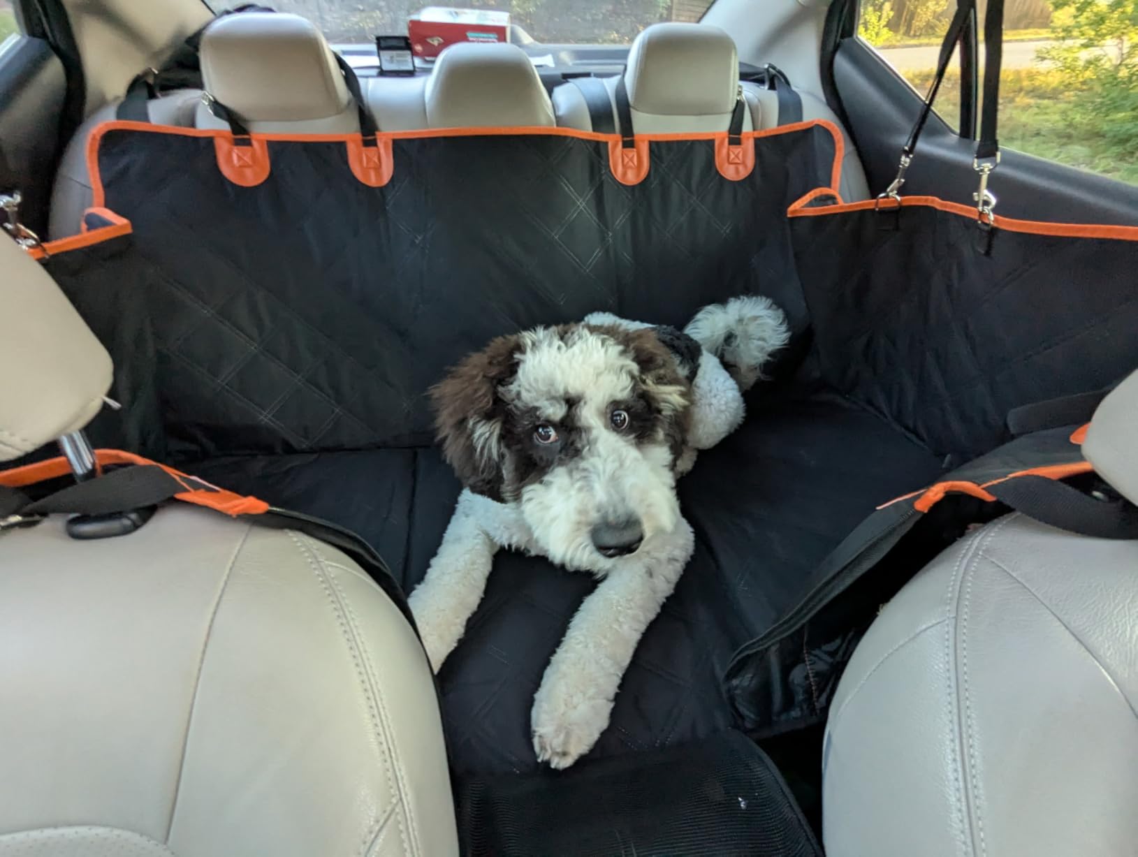 Elufa Hard Bottom Dog Car Seat Cover for Back Seat, 52