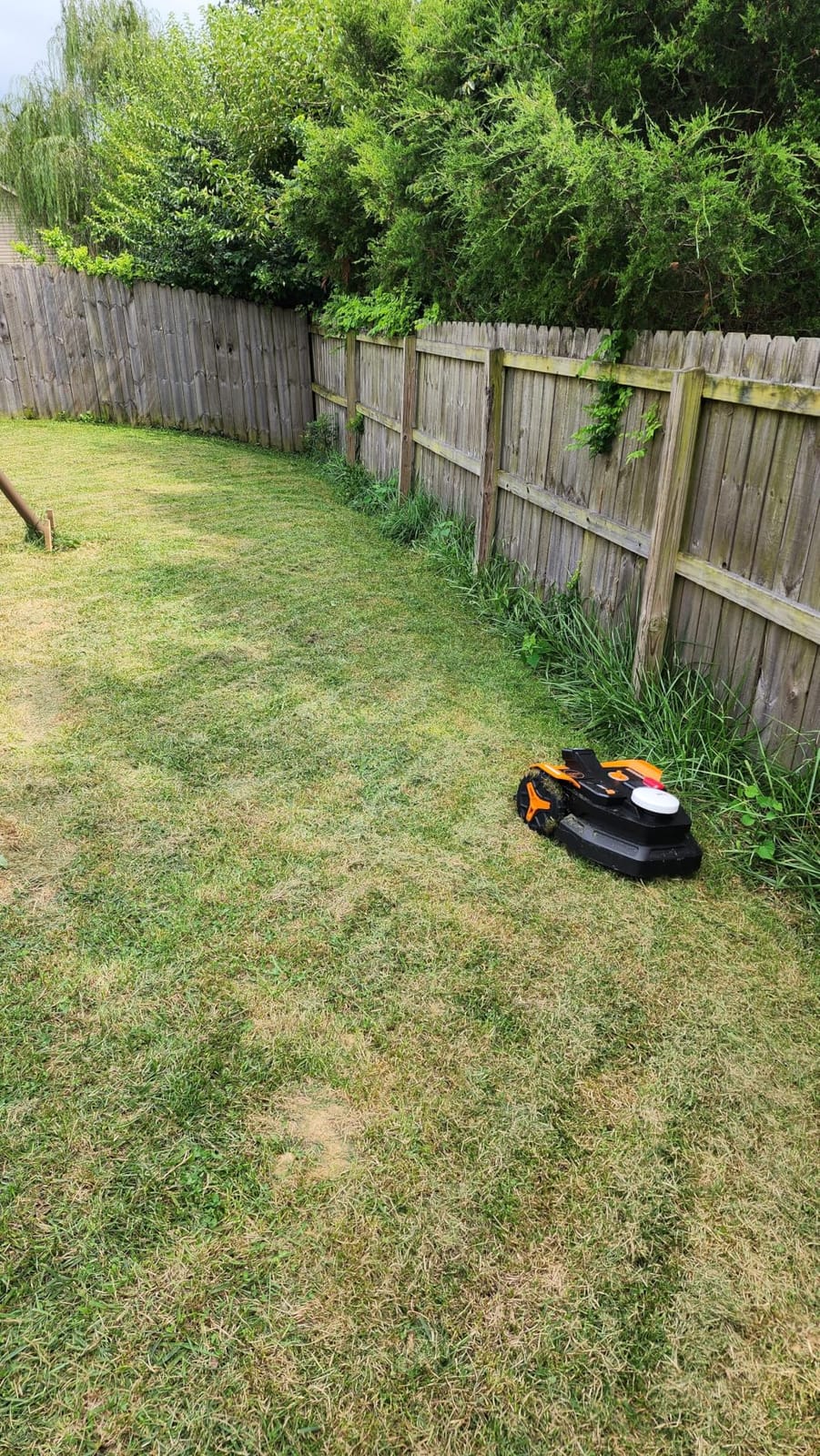 WORX Robot Lawn Mower for 1/4 Acre, Wire-Free with Brushes customer photo 1