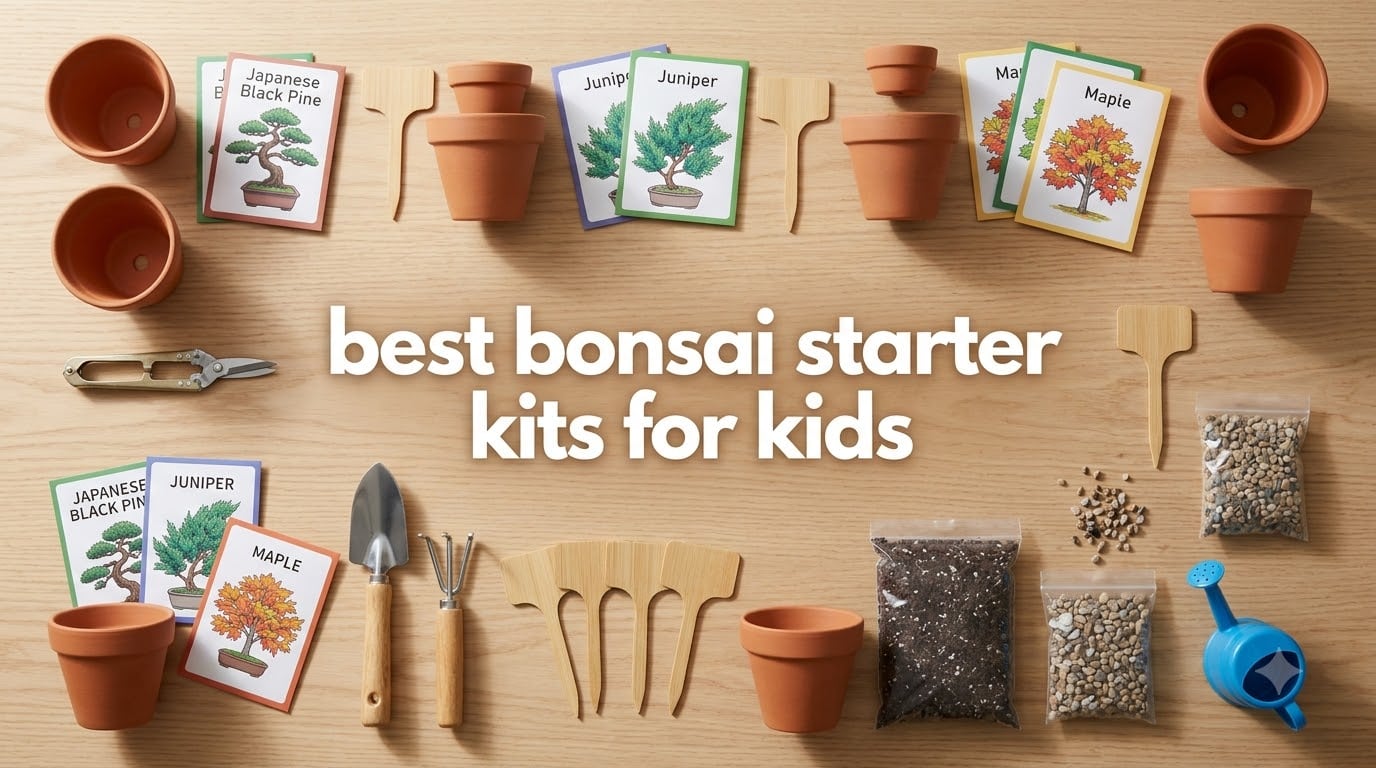 best bonsai starter kits for kids