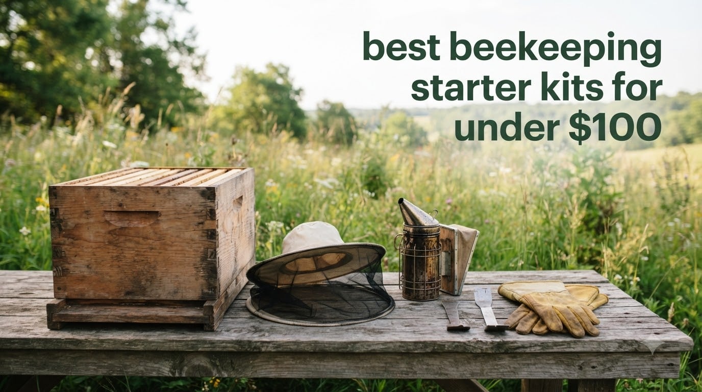 best beekeeping starter kits for under $100