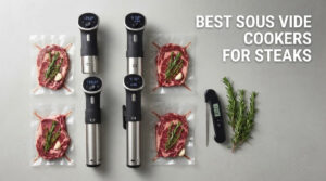 best sous vide cookers for steaks