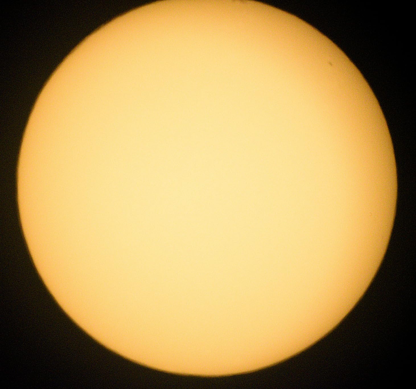 Celestron Universal 1.25