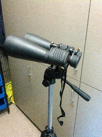 Celestron SkyMaster 15x70 Astronomy Binoculars for Stargazing and Deep-Sky customer photo 2