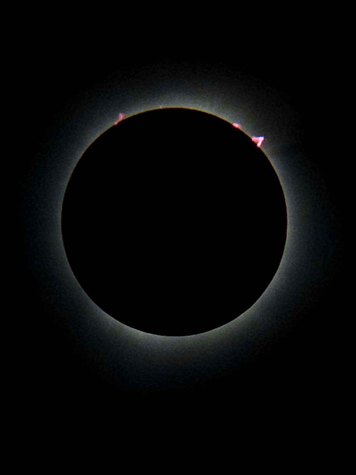 Celestron EclipSmart Telescope Solar Filter for 127mm & 130mm Reflectors customer photo 1