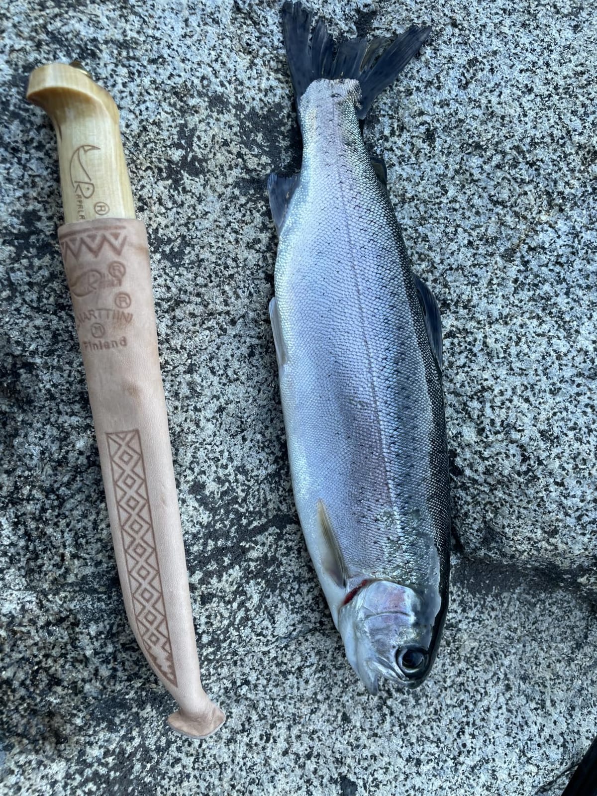 Rapala Fish 'n Fillet Knife, 4 Inch Stainless Steel with Sheath customer photo 1