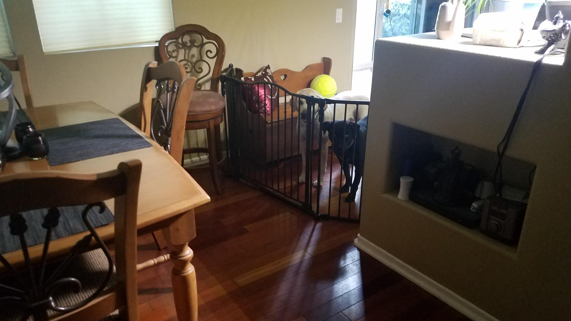 Toddleroo by North States - Deluxe Décor Safety Gate: Hardware Mounted Extra Wide Metal Baby Gate - Adjustable Child Gate - 38.3 to 72 Inches Wide - 30 Inches Tall - Matte Bronze customer photo 1
