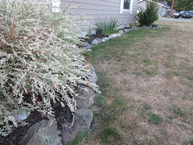 BLACK+DECKER 20V MAX String Trimmer and Edger 2 in 1, Cordless Weed Wacker with Auto Spool Feed, Battery and Charger Included, 12 Inch Steel Deck, Reduced Vibration (LST300) customer photo 2