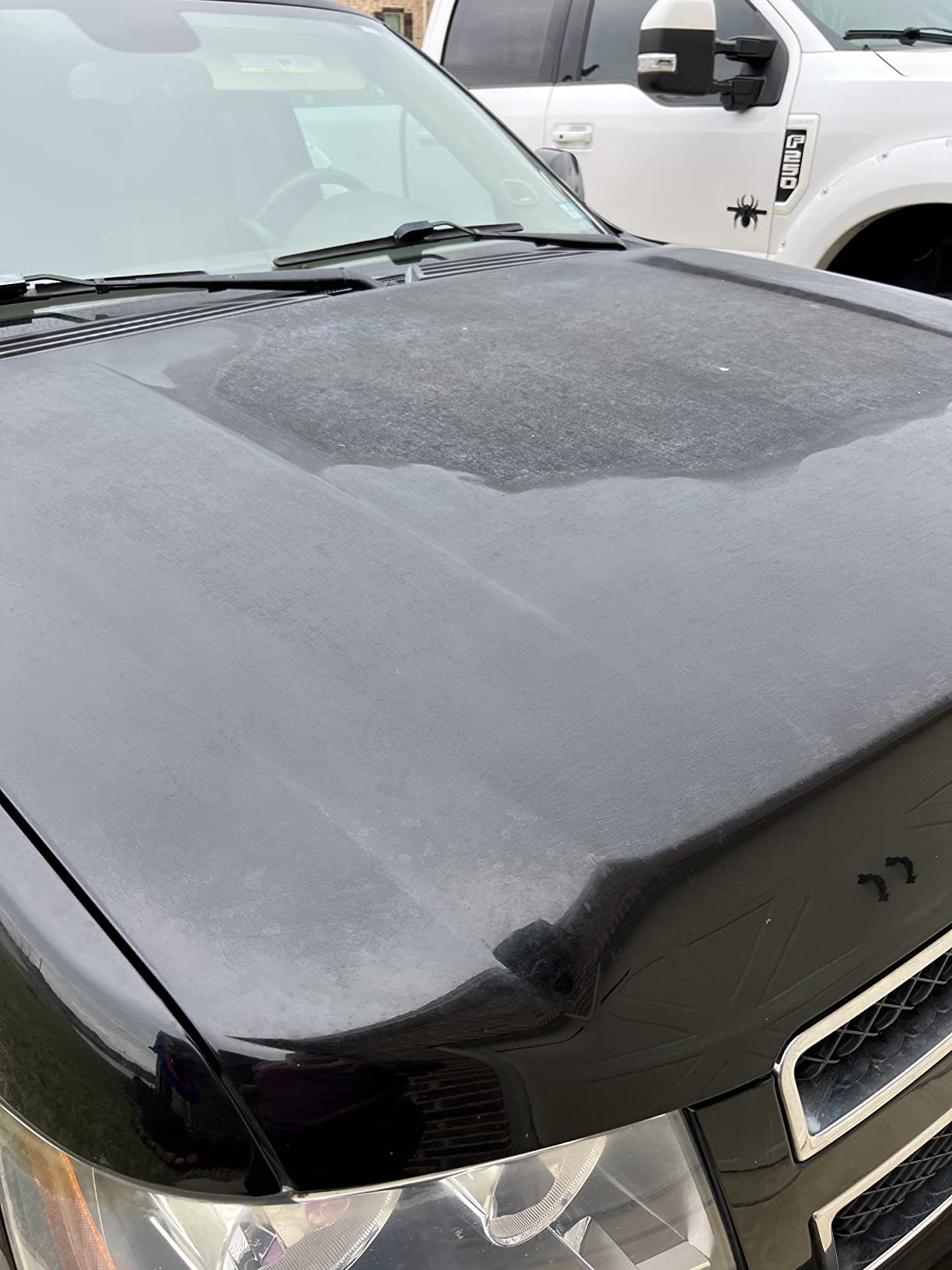 Car Wax for Dark Color Cars | Black, Charcoal, Midnight Blue | Liquid Depth & Sun Swirl Defender | 180g customer photo 2