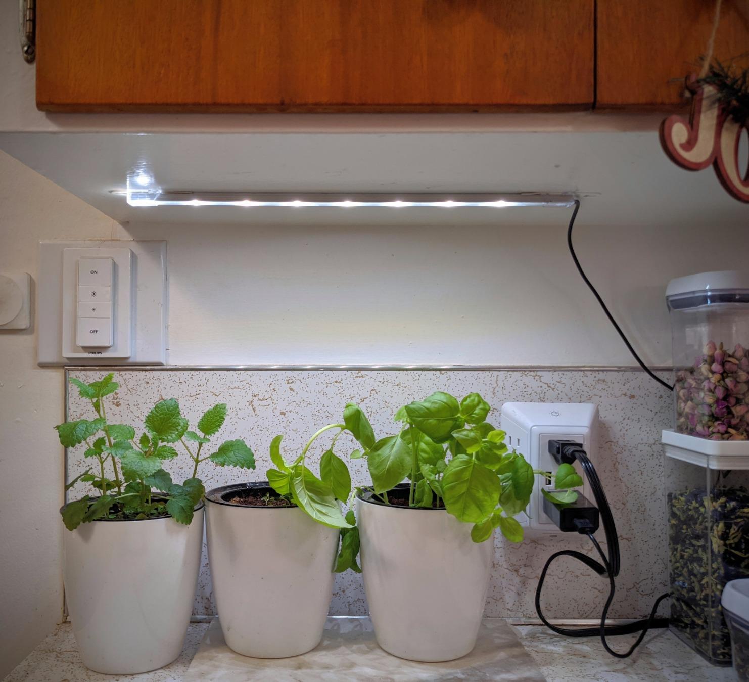 Sondiko Grow Light Strip, Full Spectrum Sunlike Auto ON&Off Grow Light Strip with 3/9/12H Timer&10 Dimmable Levels for Indoor Plants (13.2 inches Length) customer photo 1