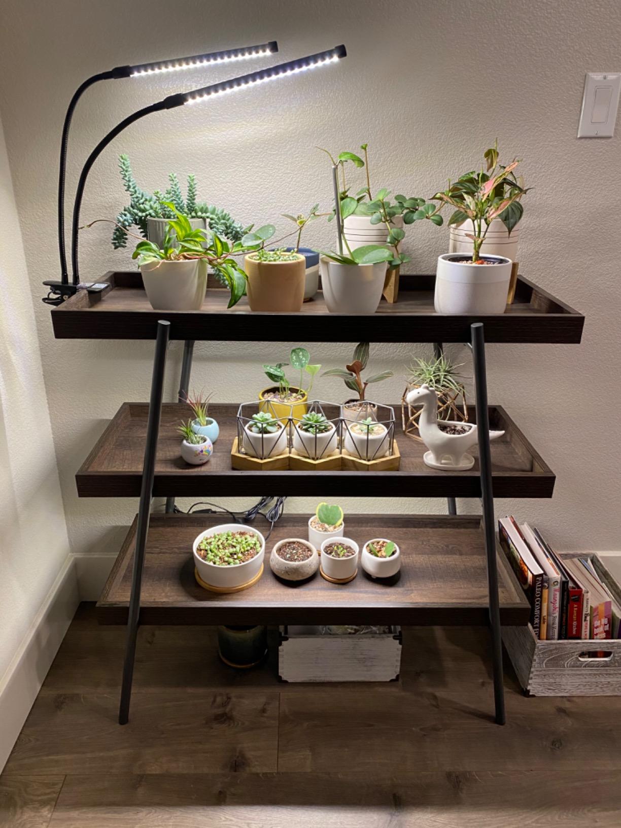 Sondiko Grow Light Strip, Full Spectrum Sunlike Auto ON&Off Grow Light Strip with 3/9/12H Timer&10 Dimmable Levels for Indoor Plants (13.2 inches Length) customer photo 2