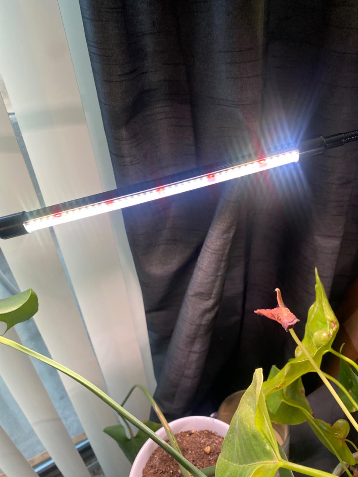 GHodec Grow Light,Full Spectrum White 84 LED Clip Indoor Plant Light customer photo 1
