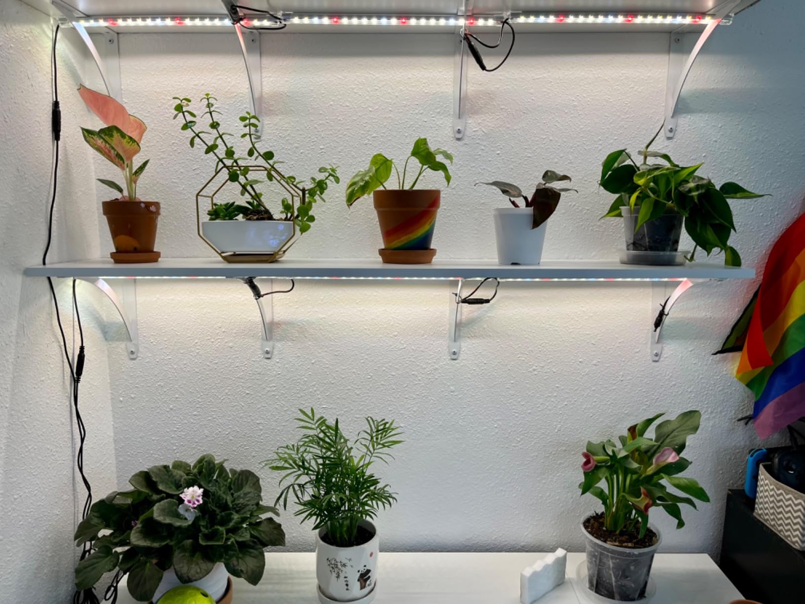 LED Grow Lights Strips for Indoor Plants with Auto ON & Off Timer, T5 Sunlike Full Spectrum Grow Lights Bar Growing Lamps for Greenhouse Shelves Hydroponics Succulent, 4 Dimmable Levels customer photo 2