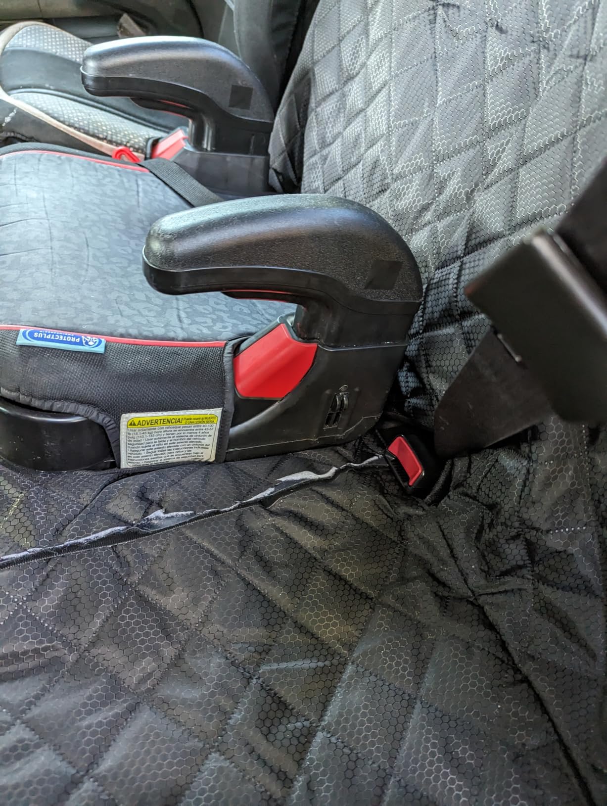 PETICON Waterproof Scratchproof Pet Bench Seat Covers for Cars, SUVs customer photo 2