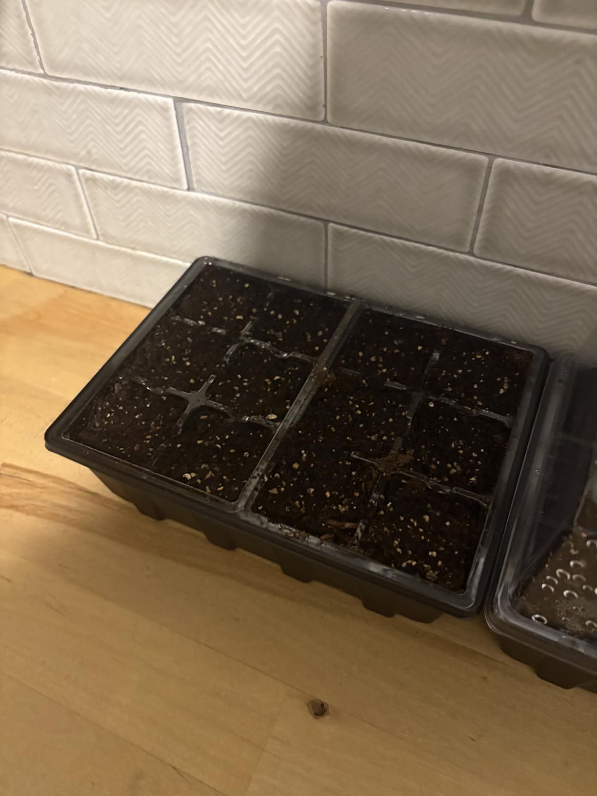 Gardzen 3 Pack Seed Starter Trays with Adjustable Vented Dome 36 Cell customer photo 2
