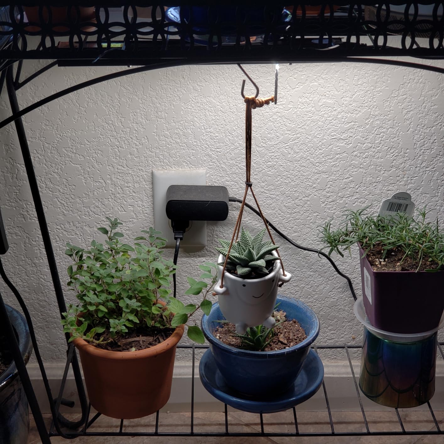 Barrina Grow Lights for Indoor Plant, Full Spectrum, T5 1FT Yellow, 4 Packs customer photo 1
