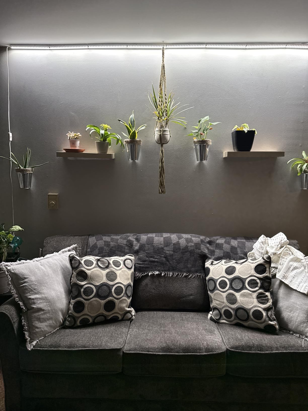 Barrina Grow Lights for Indoor Plant, Full Spectrum, T5 1FT Yellow, 4 Packs customer photo 2