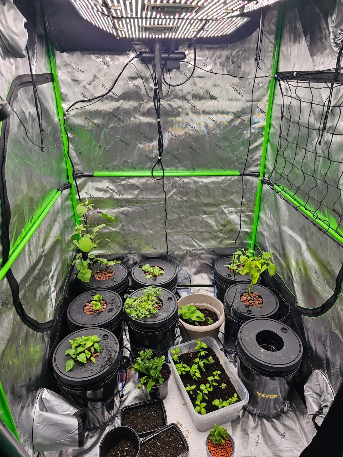 VEVOR DWC Hydroponic System, 5 Gallon 8 Buckets, Deep Water Culture Growing Bucket, Hydroponics Grow Kit with Pump, Air Stone and Water Level Device, for Indoor/Outdoor Leafy Vegetables customer photo 2