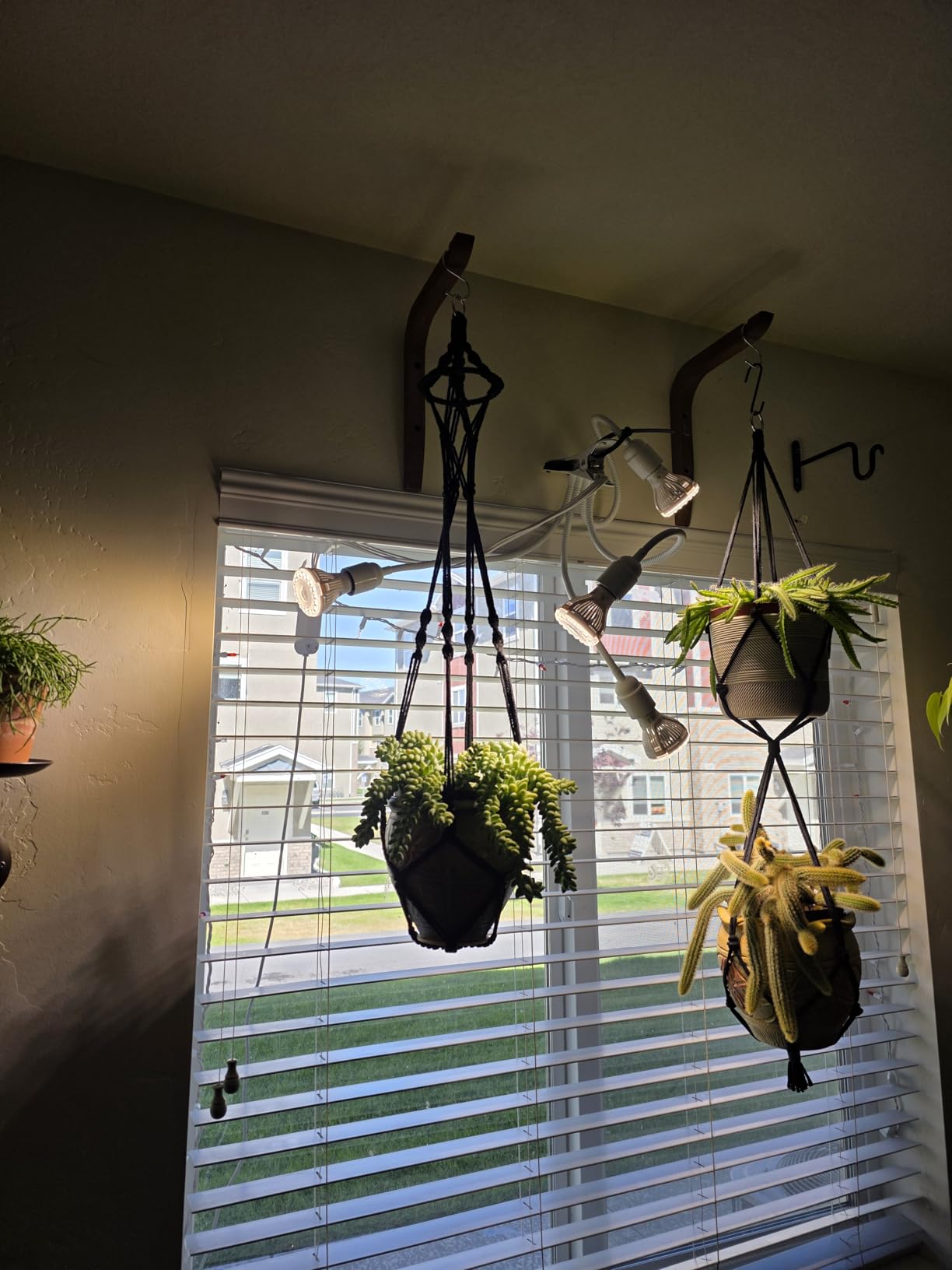 SANSI Grow Lights for Indoor Plants, 20W Clip-On Gooseneck LED Plant Lights customer photo 2