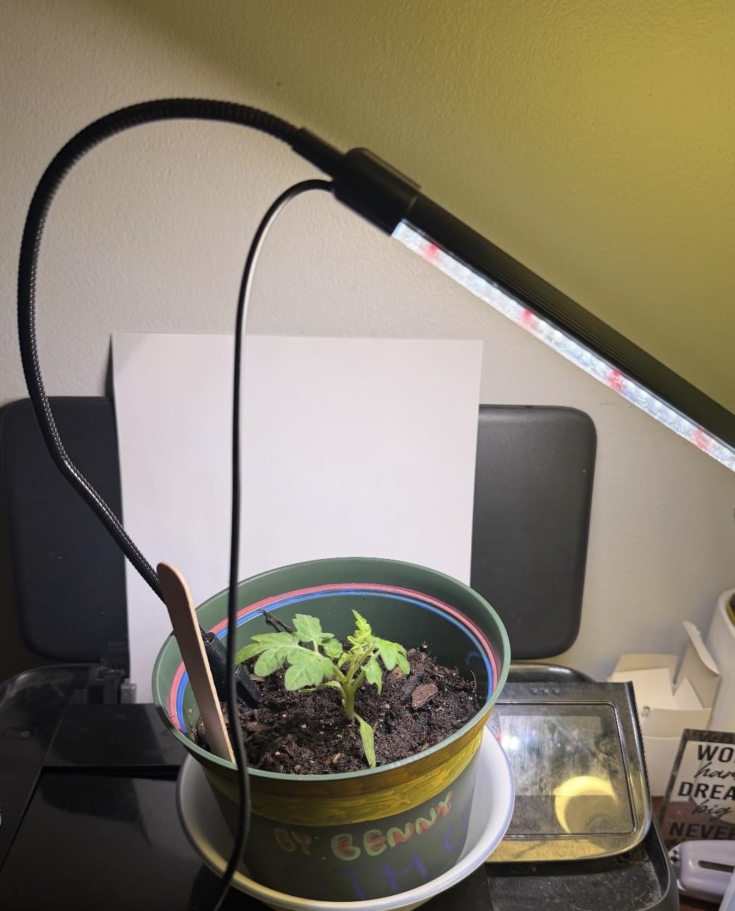 Plant Grow Light,48LED White Red 6000K Full Spectrum Gooseneck Growing Lamp customer photo 2