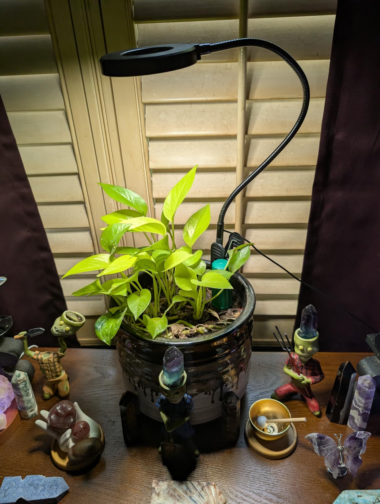 wolezek 2 in 1 Grow Lights for Indoor Plants, 3 Colors Plant Grow Lights customer photo 2