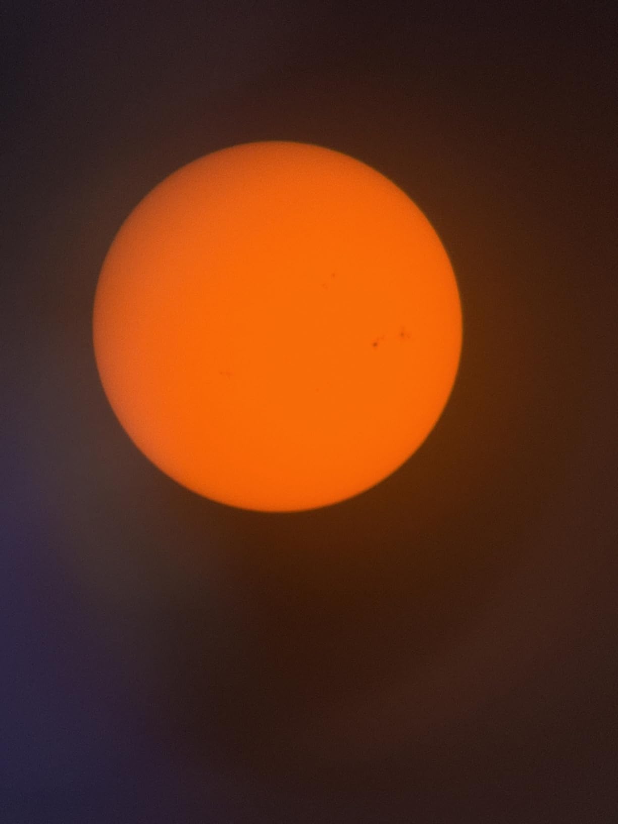 Celestron EclipSmart Universal Solar Filter for Telescopes customer photo 1