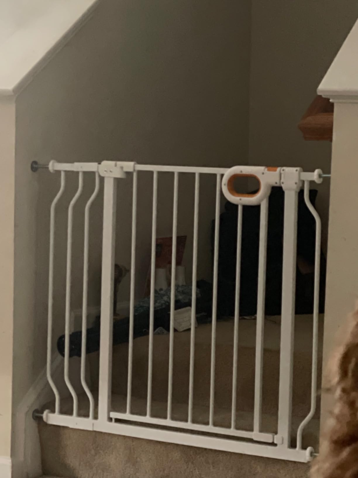 owlie 66 to 75 Inch Extra Wide Baby Gate with Door for Stairs Doorways customer photo 1