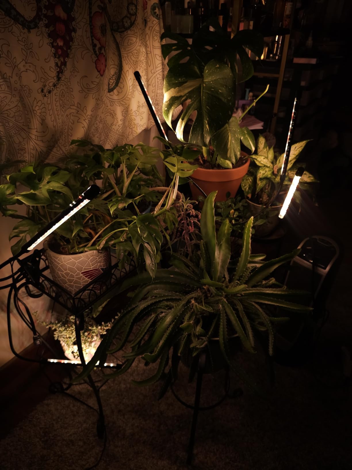 Grow Lights for Indoor Plants, Full Spectrum 2 Head Clip Plant Lights customer photo 1