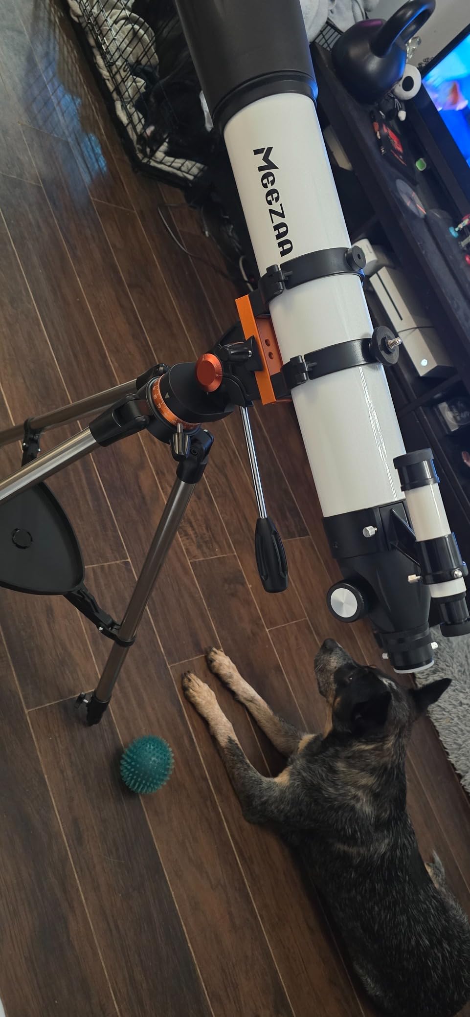 MEEZAA Telescope, Telescope for Adults High Powered Professional, 90mm Aperture 800mm Refractor Telescopes for Astronomy Beginners Stargazing Fully Multi-Coated with Tripod & Phone Adapter & Carry Bag customer photo 1