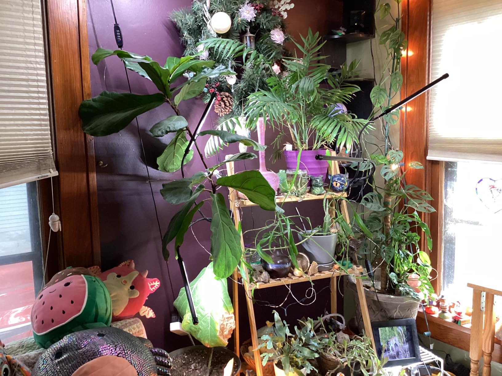 Grow Lights for Indoor Plants, Upgrade 84 LEDs Clip Plant Lights, Full Spectrum LED Plant Growing Lamps with Flexible Gooseneck, 3/9/12H Timer, 3 Spectral Modes, 10 Dimmable Levels (2 Head 1 Pack) customer photo 1