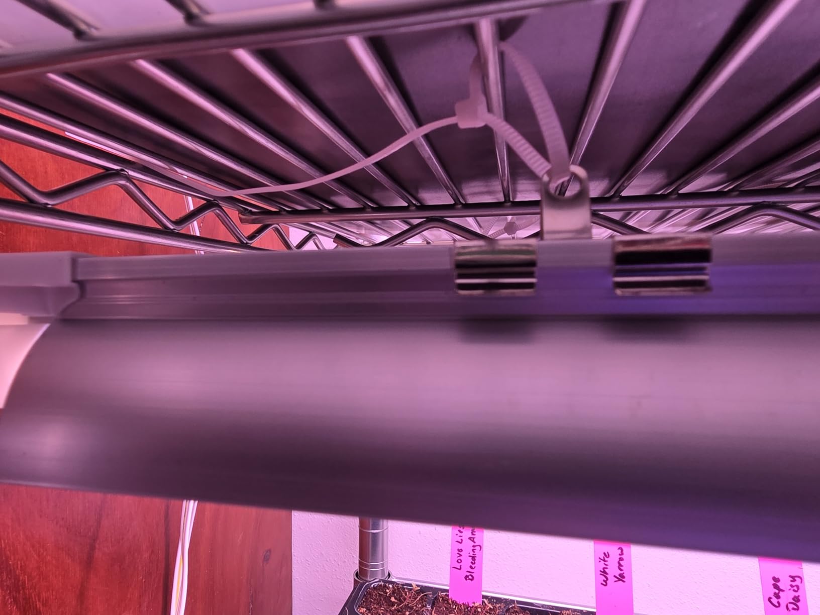 Barrina T8 Grow Lights for Indoor Plants, 5000K Full Spectrum, 1FT, 4 Packs customer photo 1
