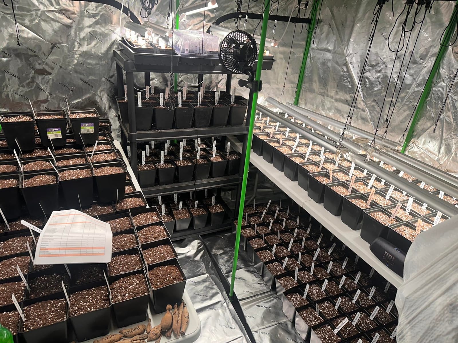 Barrina T8 Grow Lights for Indoor Plants, 5000K Full Spectrum, 1FT, 4 Packs customer photo 2