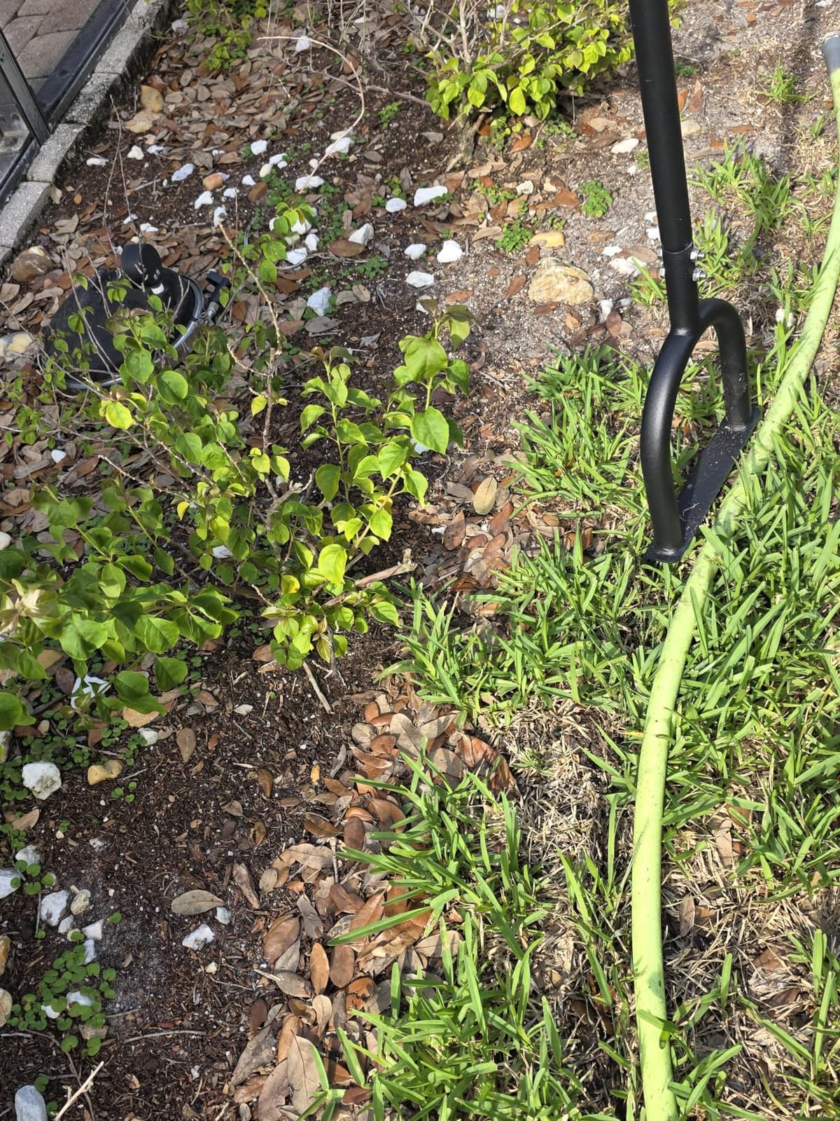 Edger Lawn Tool 41in Border Edger with Tempered Spring Steel Blade customer photo 2