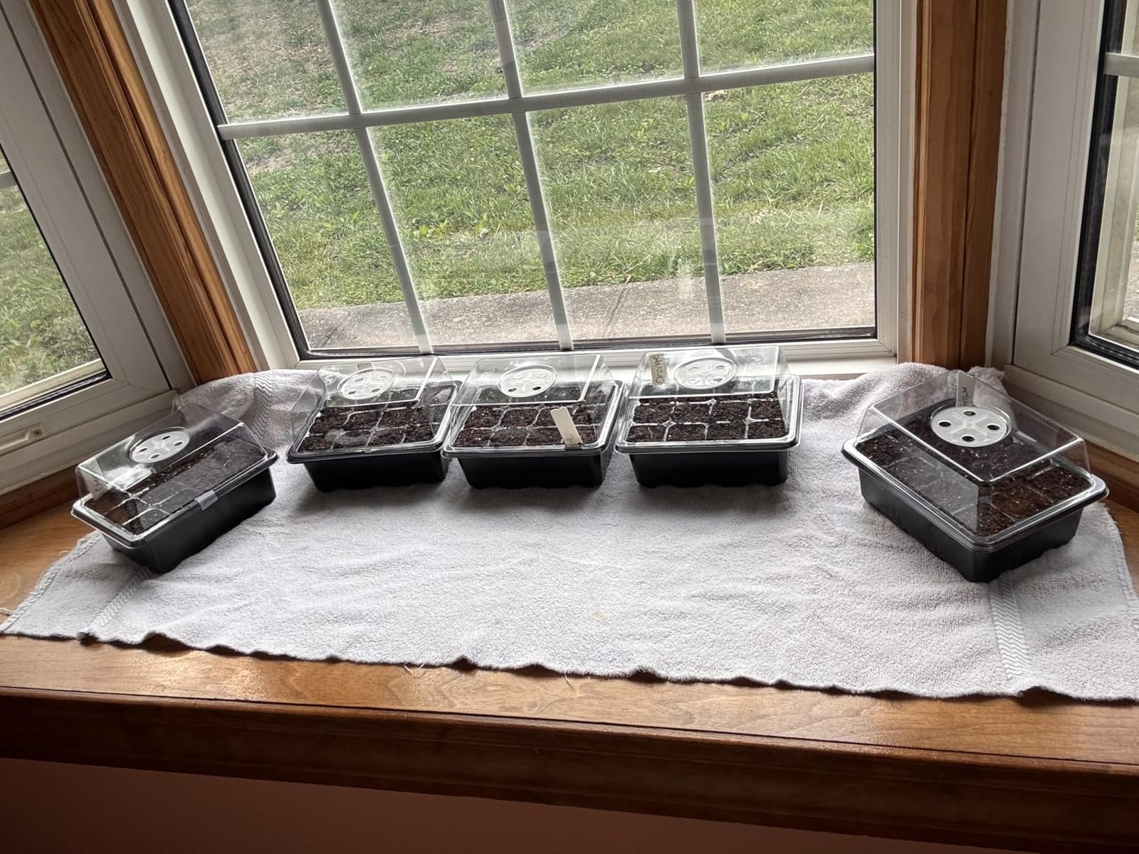 Bonviee 5-Pack Seed Starter Trays, Humidity Dome, Base, 12-Cell Tray, Clear customer photo 1