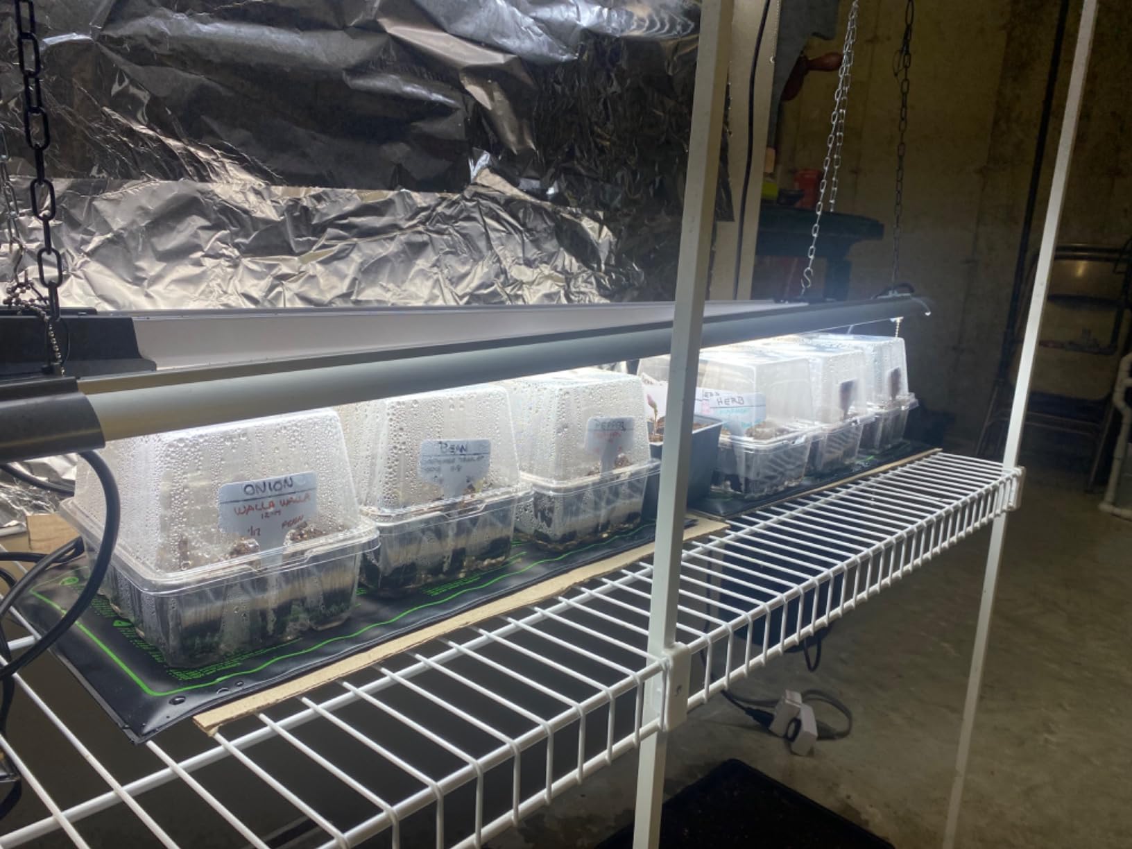 Bonviee 5-Pack Seed Starter Trays, Humidity Dome, Base, 12-Cell Tray, Clear customer photo 2