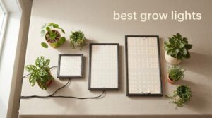 best grow lights